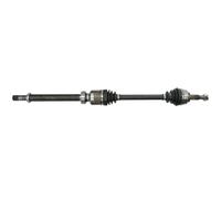 Albero di trasmissione PASCAL G2R121PC