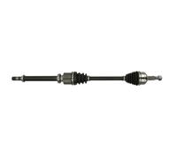 Albero di trasmissione PASCAL G2R158PC