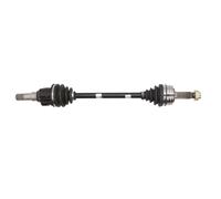 Albero di trasmissione POINT GEAR PNG72725 sinistro