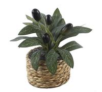 Albero di ulivo artificiale, pianta in vaso da 15 cm, per mini piante finte per decorazione casa e ufficio, artigianato in plastica intrecciata a mano, accento compatto da scrivania