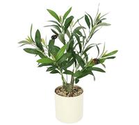 Albero di ulivo con olive nere in vaso artificiale, 46 cm, piccola pianta artificiale, albero d'olivo artificiale, albero decorativo, pianta d'ulivo, pianta decorativa per soggiorno, balcone, ufficio