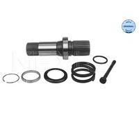Albero differenziale 100 498 0243 MEYLE per VW TRANSPORTER T5 Autobus
