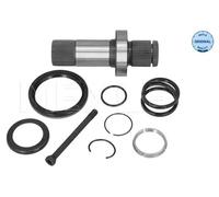 MEYLE 100 498 0250 Albero scorrevole, Differenziale