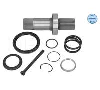 Albero Scorrevole Differenziale Meyle 1004980251 Meyle-original: True To Oe. VW