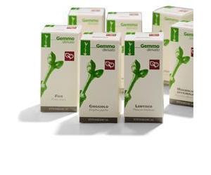 Albero Giuda 100ml Mg