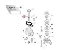 ALBERO INGRANAGGIO CONDUTTORE, POMPA OLIO