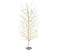 Albero luminoso Lotti 76327 TIGLIO Champagne