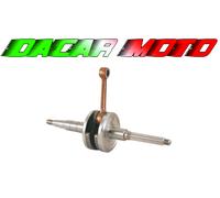 Albero motore APRILIA 50 AMICO GL-GLE 1993 1994 1995 RMS 100010011