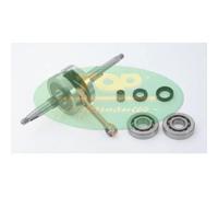 ALBERO MOTORE COMPLETO COMPATIBILE CON PEUGEOT SQUAB 50 2T 90 > 02 TOP PERFORMANCE