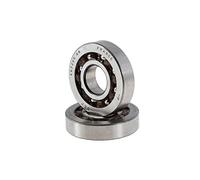 Albero motore Cuscinetti MALOSSI MHR - Diesis 50 ZAPC341