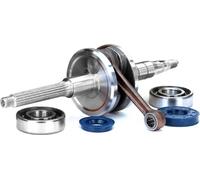 Albero Motore Cuscinetti Paraoli Top Performances Aprilia Amico 1995 1996 1997