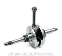 Albero Motore HERT Honda Visione 110 17-20 per Moto Ricambi