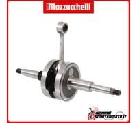 ALBERO MOTORE MAZZUCCHELLI PEUGEOT TKR 50 R-CUP 2008-2009 100012031#44