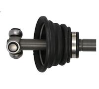 Albero motore PASCAL G2R001PC per RENAULT MEGANE I (BA0/1_) 1.6 2001-2008