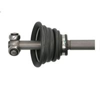 Albero motore PASCAL G2R051PC per RENAULT THALIA I (LB_) 1.4 2000-2009