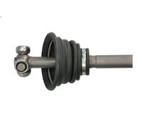Albero motore PASCAL G2R066PC per RENAULT THALIA I (LB_) 1.4 2000-2009