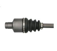 Albero motore PASCAL G2R072PC per RENAULT MEGANE I (BA0/1_) 1.4 1999-2003
