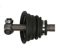 Albero motore PASCAL G2R077PC per RENAULT THALIA I (LB_) 1.2 2002-2009