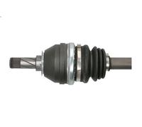 Albero motore PASCAL G2X023PC OPEL VECTRA B (J96) 1.6 1995-1996