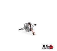 ALBERO MOTORE RACING SPINOTTO Ø 12 MM PEUGEOT XP6 50 ALL YEARS ATHENA S410130...