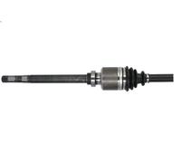 Albero motore/Semiasse PASCAL G2C045PC per LANCIA ZETA (22_) 2 1995-2002