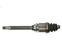 PASCAL G2F019PC Semiasse