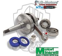 ALBERO MOTORE SPALLE PIENE CON CUSCINETTI E PARAOLI YAMAHA DT 50 R 50 2T LC AM6