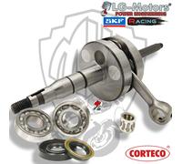 ALBERO MOTORE SPALLE PIENE + CUSCINETTI E PARAOLI MALAGUTI F15 FIRE FOX 50 1998