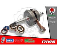 ALBERO MOTORE SPORT 70cc CON CUSCINETTI E PARAOLI CORTECO PEUGEOT XR6 50 2T LC