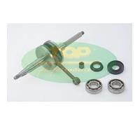ALBERO MOTORE TOP PERFORMANCES MALAGUTI F10 EURO 2 2,3 50 2T IM07059