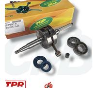ALBERO MOTORE TPR SP.10 CORSA 39.2 X MINARELLI ORIZZ+CUSCINETTI/PARAOLI -9925910