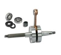 Albero Motore TPR Spinotto 10 con Cuscinetti Minarelli Verticale 9927900