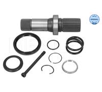 Albero scorrevole, Differenziale Assale anteriore Dx per VW CALIFORNIA MULTIVAN