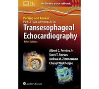 ALBERT C. PERRINO SCOTT T. REE Perrino and Reeves' Practical Approac (Tascabile)