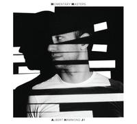 Albert Hammond Jr. Momentary Masters (Vinyl LP)