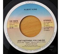 ALBERT KING - ain't nothing you can do