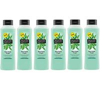 Alberto Balsam Tea Tree Tingle Conditioner, 350 ml (confezione da 6)