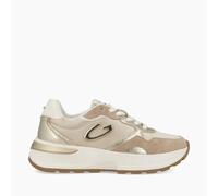 Alberto Guardiani Donna Sneakers in suede