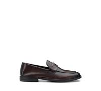Alberto Guardiani Connect 3171 Connect 3171 Marrone 43 Marrone Dark Brown 01