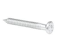 Alberts 331610 Chiodo di ancoraggio, zincato, 4 x 40 mm, Set da 250