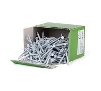 Alberts 331917 Chiodo di ancoraggio, zincato, 4 x 60 mm, Set da 250