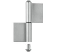 Alberts 414313 Cerniera per cancelli metallici, Tipo KO4, Acciaio inox, Altezza 100 mm, Diametro Ø9 mm