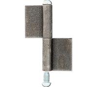 Alberts 414412 Cerniera per cancelli Metallici, Acciaio, 100 mm / Ø9 mm / 10 Stück