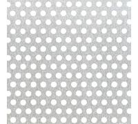 Alberts 466947 Lamiera Forata, Alluminio, 250 x 500 x 0,8 mm