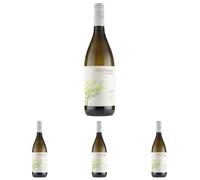 Albino Armani Gewurztraminer Trentino “Claps” Doc - 750 ML (Confezione da 4)