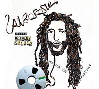 Alborosie - Alborosie Meets Roots Radics - Dub For Radicals