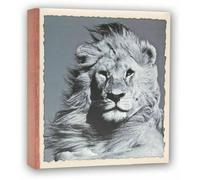 ALBUM FOTOGRAFICO MOD.WILD LIFE LEONE-LEOPARDO-ZEBRA A TASCHE 200 FOTO 13X19