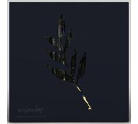 Album Leaf - An Orchestrated Rise To Fall