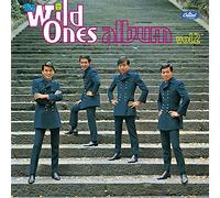 ALBUM NO.2 - WILD ONES, THE