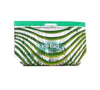 Alcas PZ 10 BUSTA TERMICA ICE BAG MEDIA DIMENSIONE 41 CM X 24 CM (PER CONTENERE VASCHETTE GELATO DA 500/750 CC)